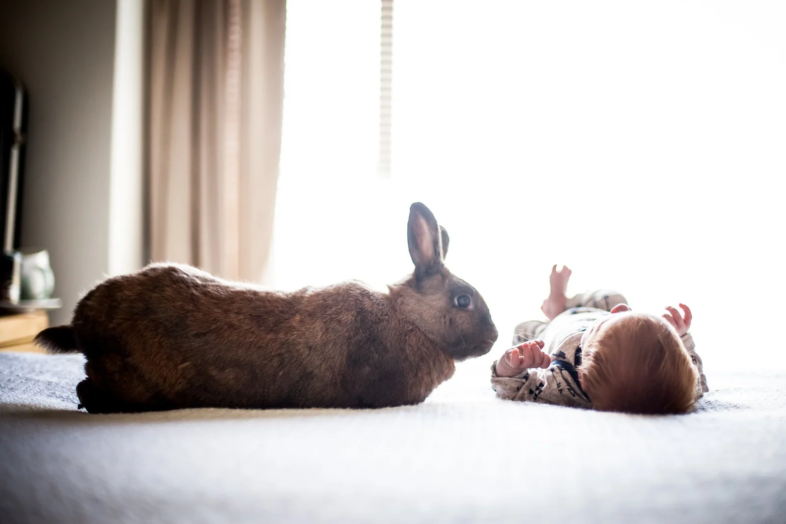 Family & Newborn photography by Coastal Media