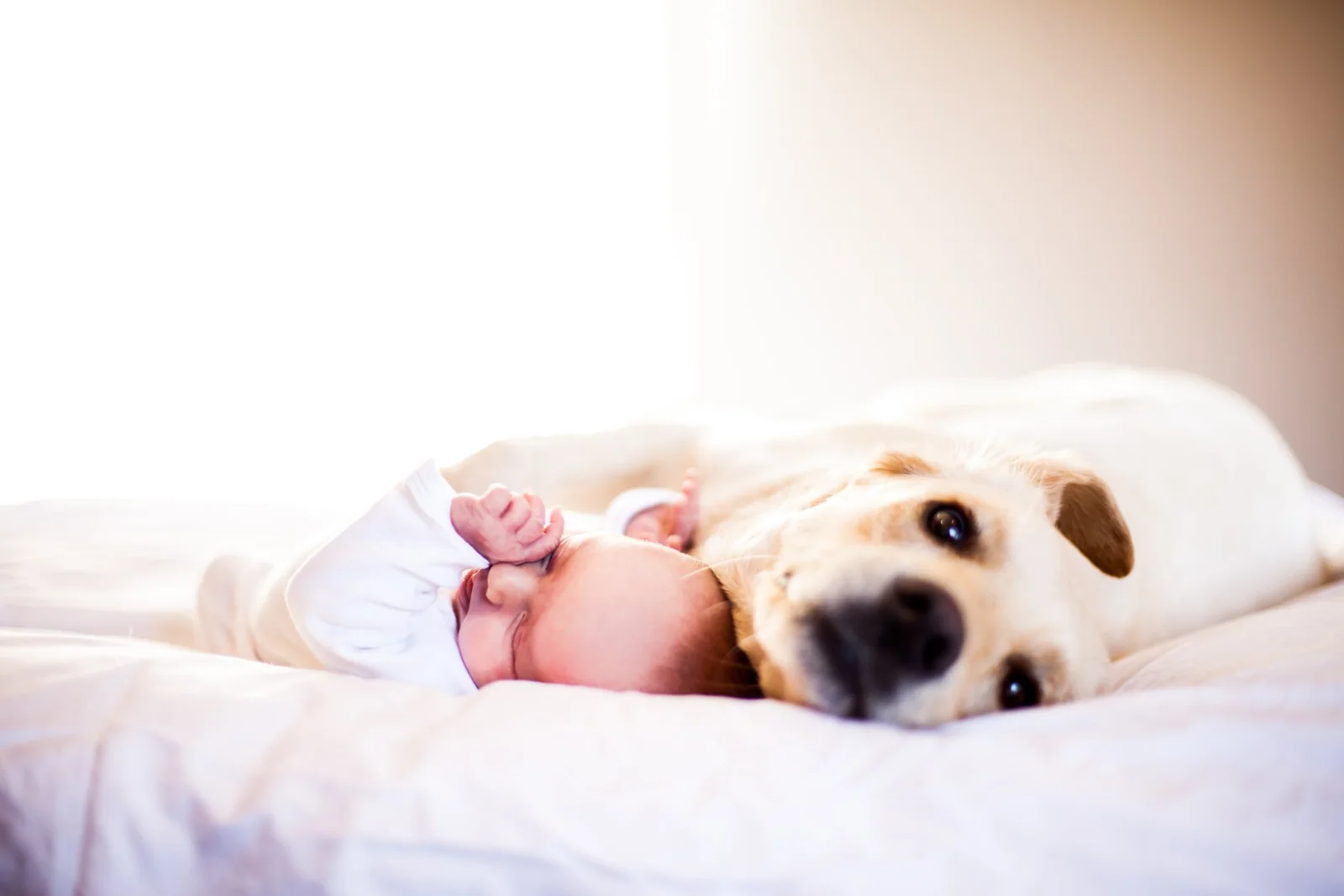 Family & Newborn photography by Coastal Media